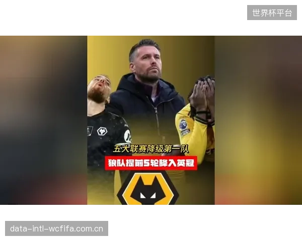 狼队整个赛季进攻乏力,最终以20分排名垫底不幸降入英冠。 狼队整个赛季进攻乏力,最终以20分排名垫底不幸降入英冠。